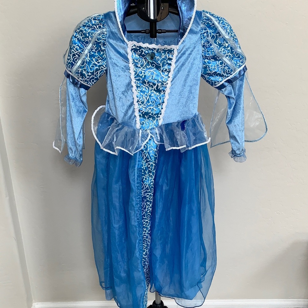 Elsa costume princess dresss
